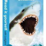 Sharks – Ladybird – детска книга на английски