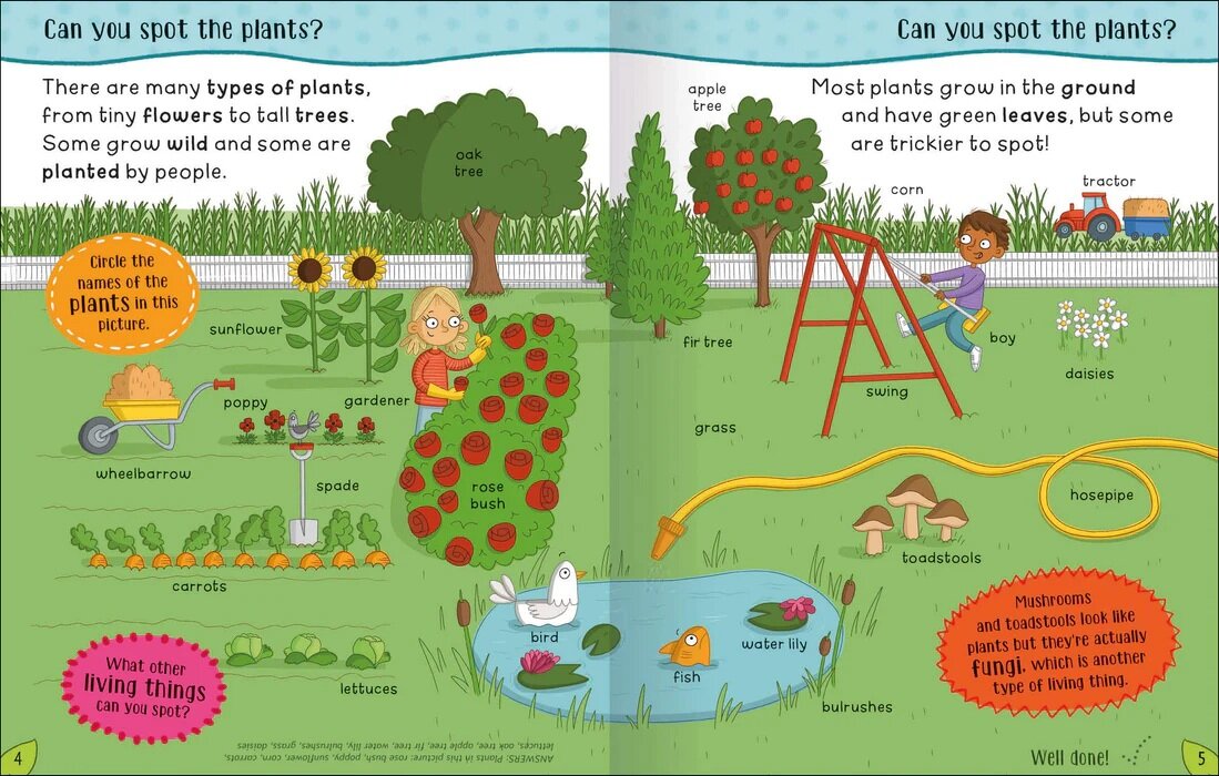 Get Set Go Science: Plants – Miles Kelly - Image 2
